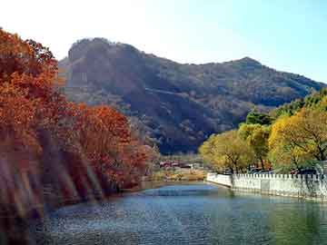 新澳门最精准免费大全，北京岩棉板